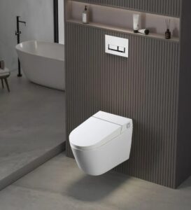 W220 Inodoro suspendido blanco con bastidor